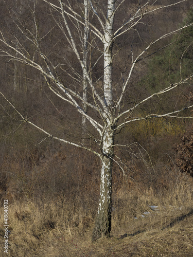 Fototapeta Naklejka Na Ścianę i Meble -  OLYMPUS DIGITAL CAMERA