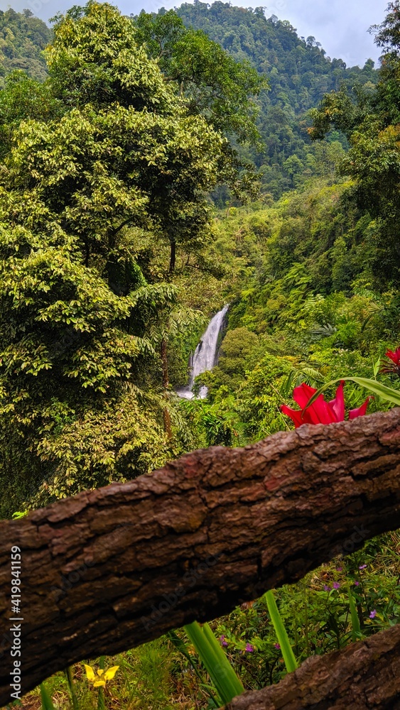 Naklejka premium A beautiful waterfall in the middle of the forest