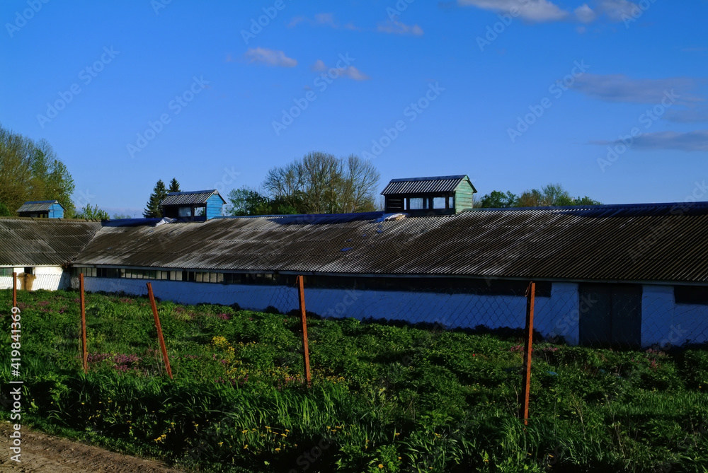 Dairy Farm Buildings in Spring
