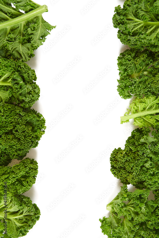 fresh kale isolated on white background fresh kale isolated on white background