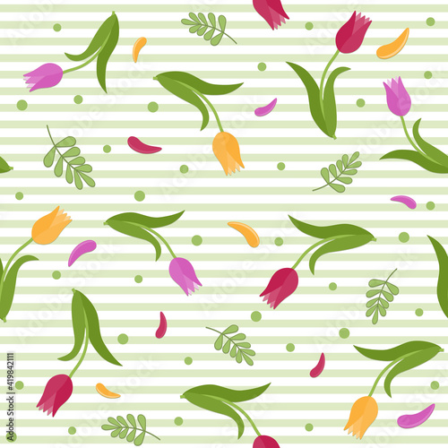 pattern of tulips on a white background with stripes, color vector illustration