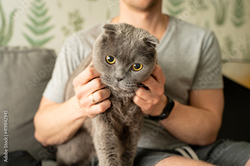 A young man holds a gray cat of the Scottish Fold breed on his lap