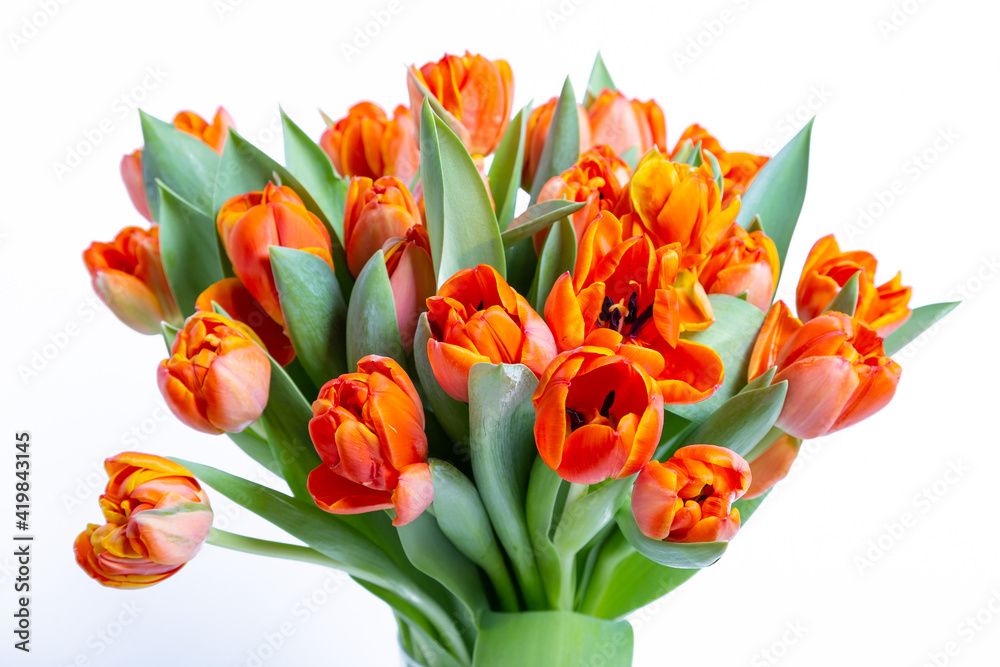 Bouquet of red-yellow tulips on a white background. Close-up. Bouquet of red-yellow tulips on a white background. Close-up.