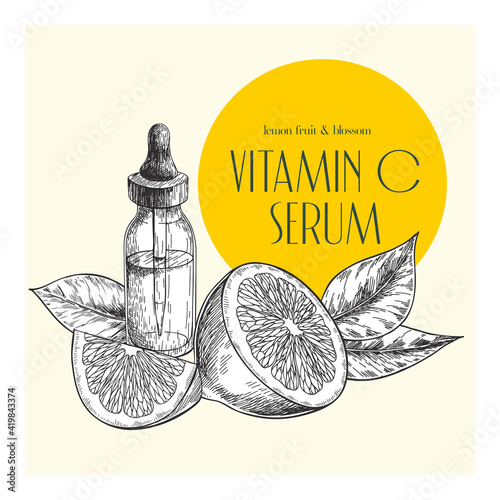 Hand drawn set of essential oils. Vector lemon fruit. Medicinal herb with glass dropper bottle. Engraved art. Good for cosmetics, medicine, treating, healthcare, package design, moisturizing.