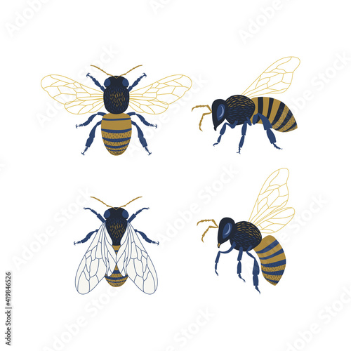 Honeybee clipart collection. Bee vector illustration set isolated on white background. Detailed decorative hand drawn beekeeping design elements.