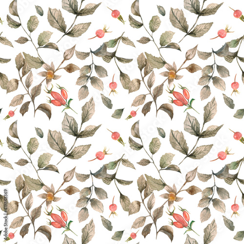Watercolor illustration. Seamless pattern on a white background with leaves  eyelids and rose hips. Natural seamless design for fabric  paper  etc.