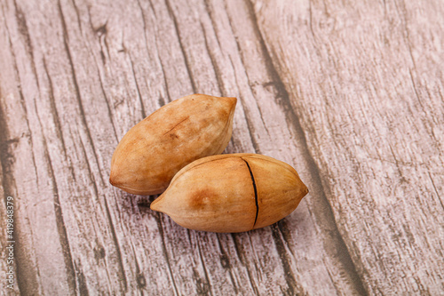 Tasty pecan nut heap isolated