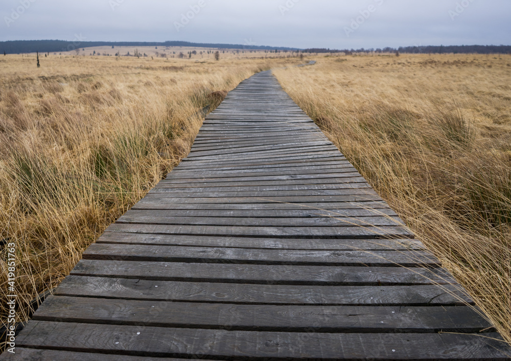 Naturpark High Fens-Eifel in Belgium