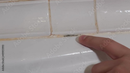 Black mold in the bathroom. The bat infected by fungus. call a plumber