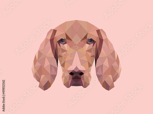 Polygonal style dog vizsla. Vector abstract illustration