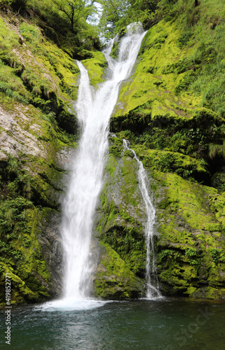 Fototapeta Naklejka Na Ścianę i Meble -  bubbling waterfall in the middle of the luxuriant vegetation