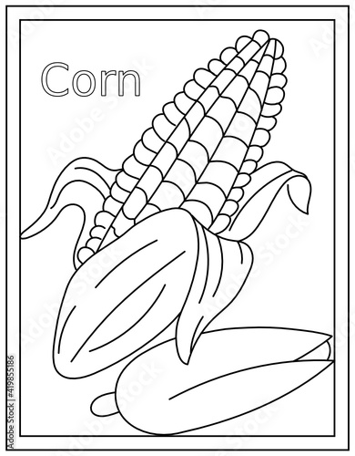 
A perfect design vector of corn drawing 

