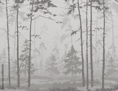 seamless horizontal background with pine forest. Light colors, black and white 