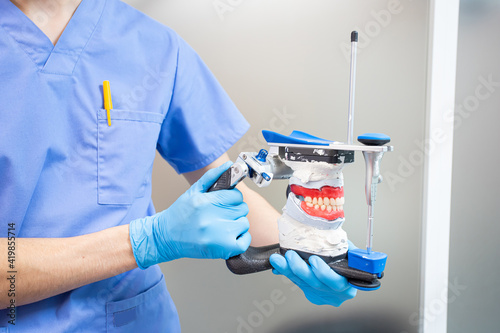 The dentist holds a dental articulator in his hands for the correct bite.