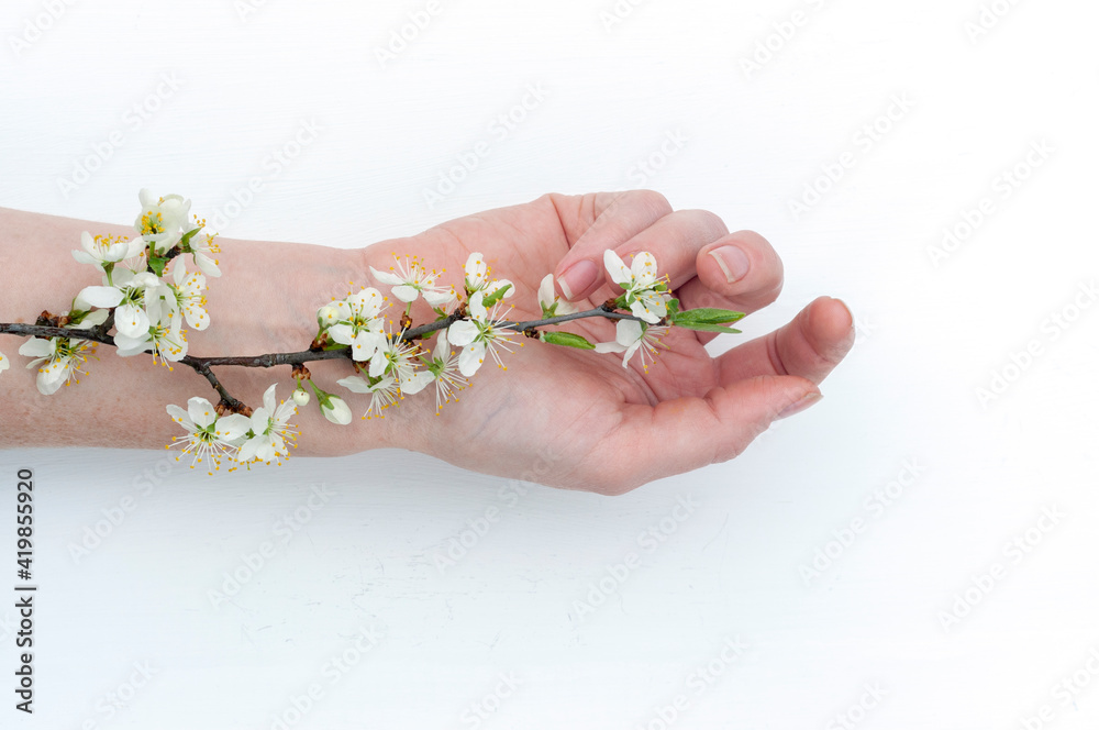 branch with flowers on the hand, hand care, moisturizing and softening the skin branch with flowers on the hand, hand care, moisturizing and softening the skin