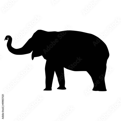 indian elephant (Elephas maximus) from side with trunk raised