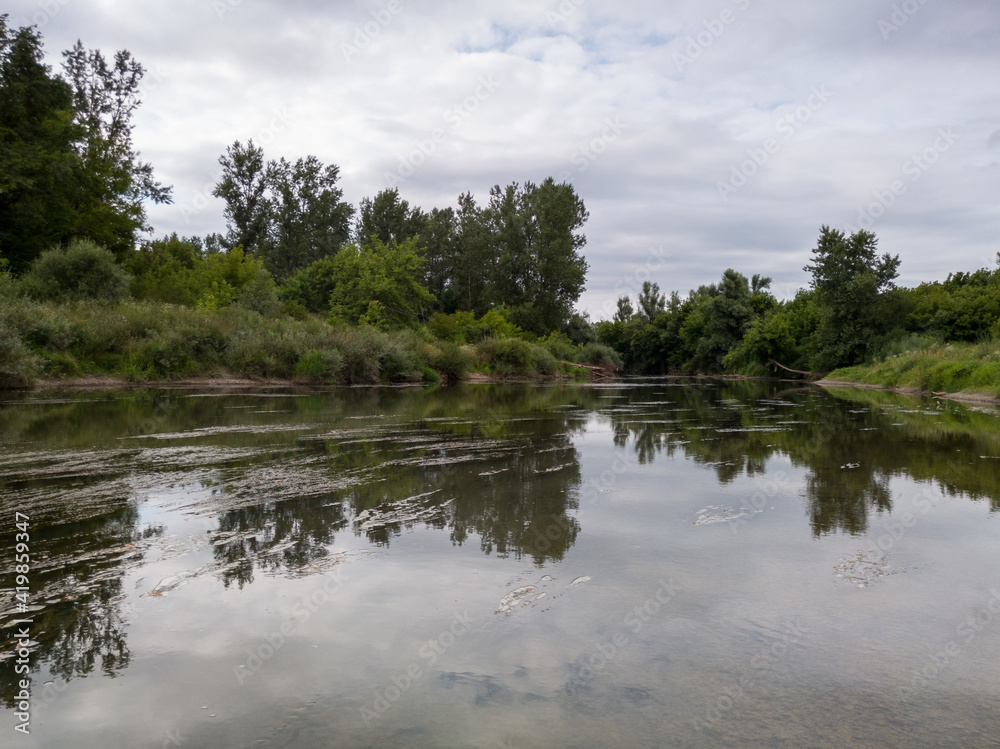 Landscape with Ukrina river and green riparian zone and underwater weed, natural ecosystem during cloudy summer day