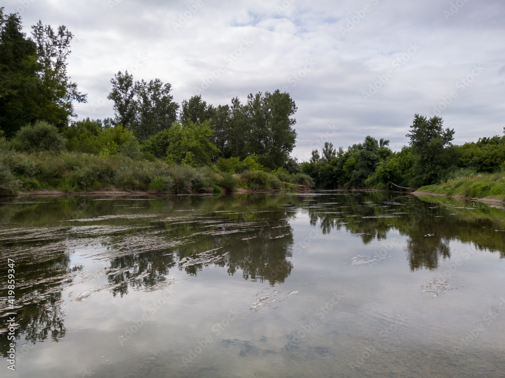 Landscape with Ukrina river and green riparian zone and underwater weed, natural ecosystem during cloudy summer day Landscape with Ukrina river and green riparian zone and underwater weed, natural ecosystem during cloudy summer day