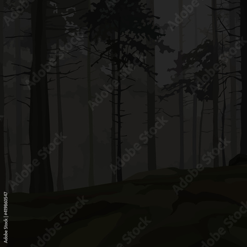 dark background of night forest with pine trees silhouettes