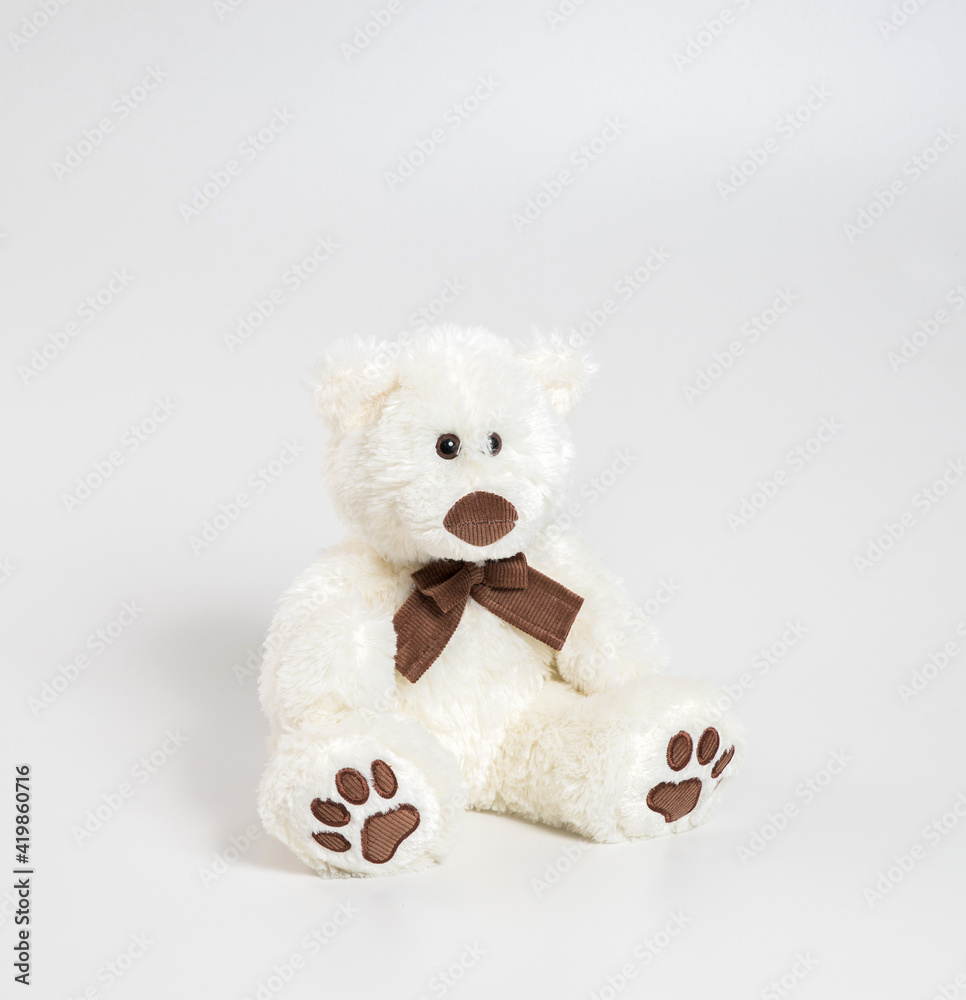 Toy polar bear. Soft toy on a white background.
