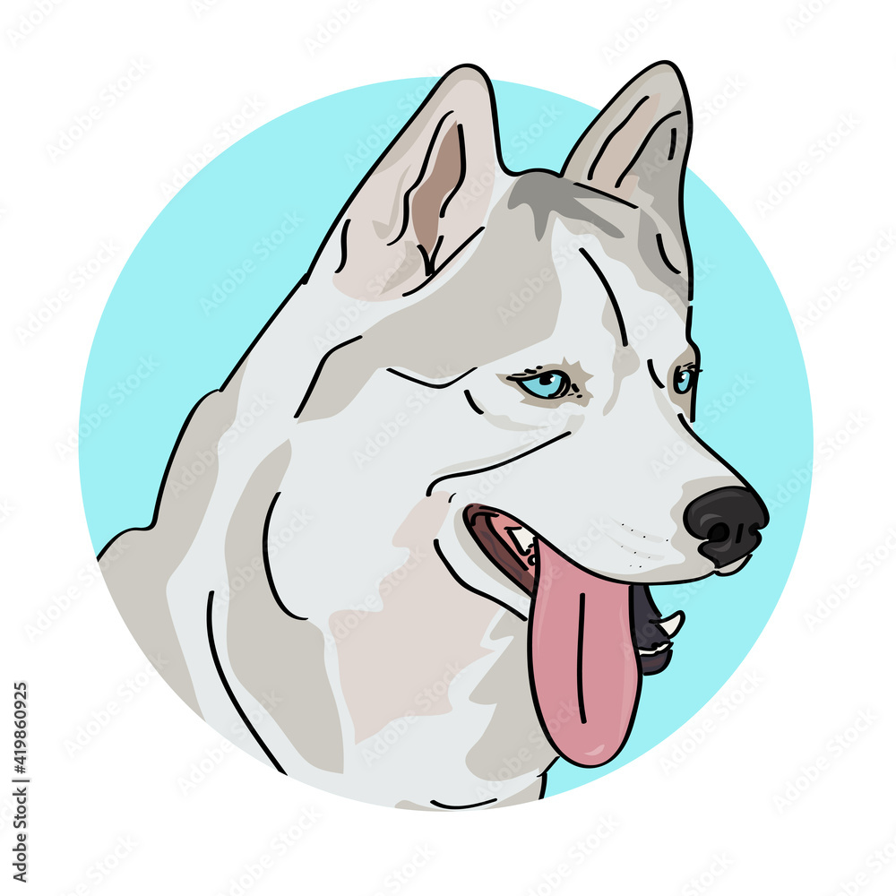 Husky dog with blue eyes portrait