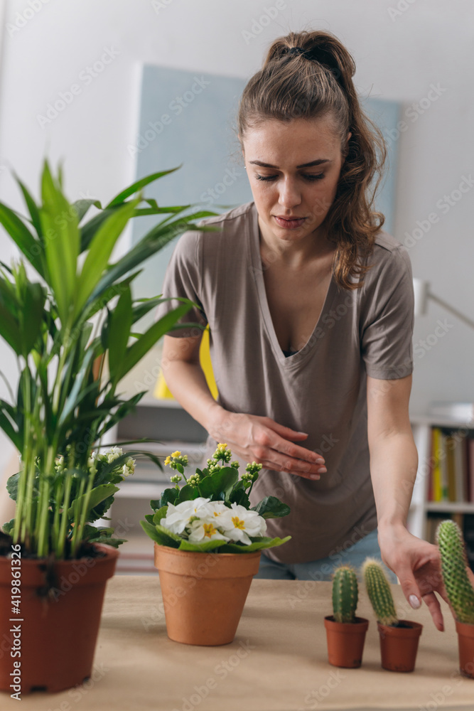 woman planting houseplants at home woman planting houseplants at home
