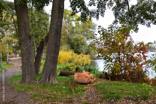 Park am Fluss Spree im Herbst  Halbinsel Stralau  Berlin