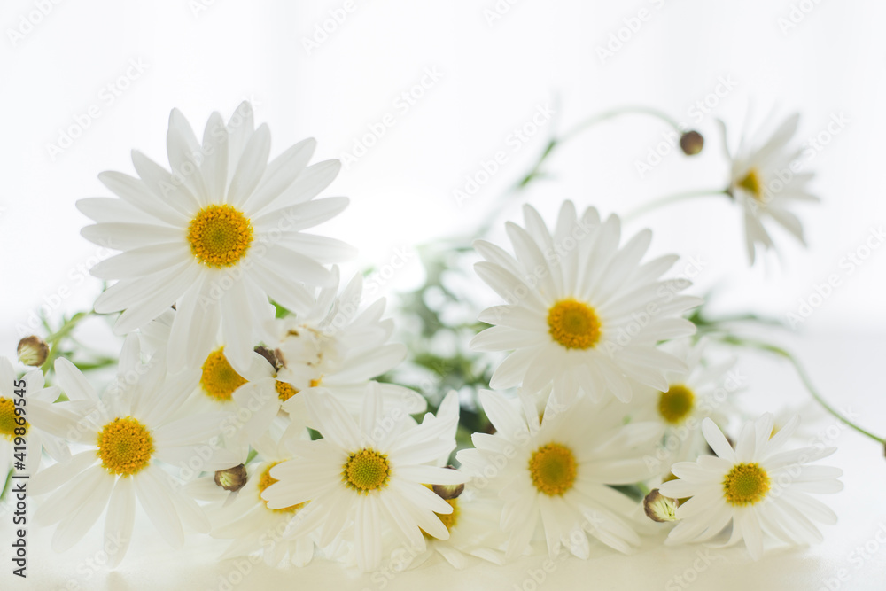 bunch of white flower on white table top bunch of white flower on white table top