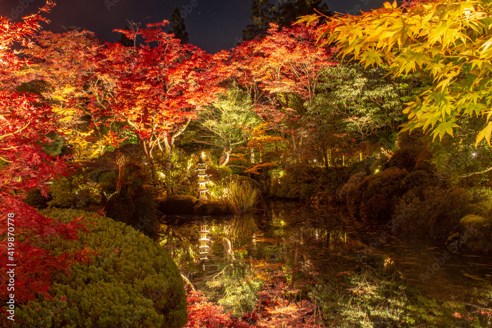 池とライトアップされた紅葉 池とライトアップされた紅葉