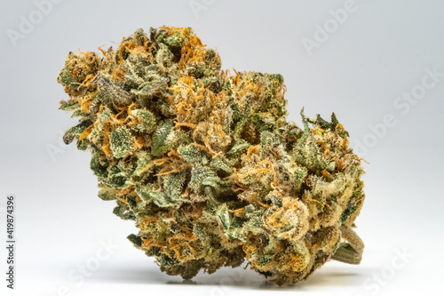 Close up prescription medical marijuana flower. CBD cannabis bud photography for dispensary menu. Medical marijuana strain. Weed bud, weed flower on white background.