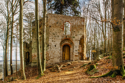 Ruins of Chapel of Saint Mary Magdalene on the hill of Maly Blanik, central Bohemia, Czech Republic.Pilgrimage place with great spruce growing within chapel walls is called Monk.Czech nature reserve