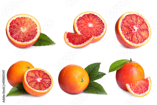 Fototapeta Naklejka Na Ścianę i Meble -  Set with ripe red oranges on white background