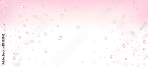 Cherry Sakura Petals Confetti. Windy Leaves Confetti Poster. Flying