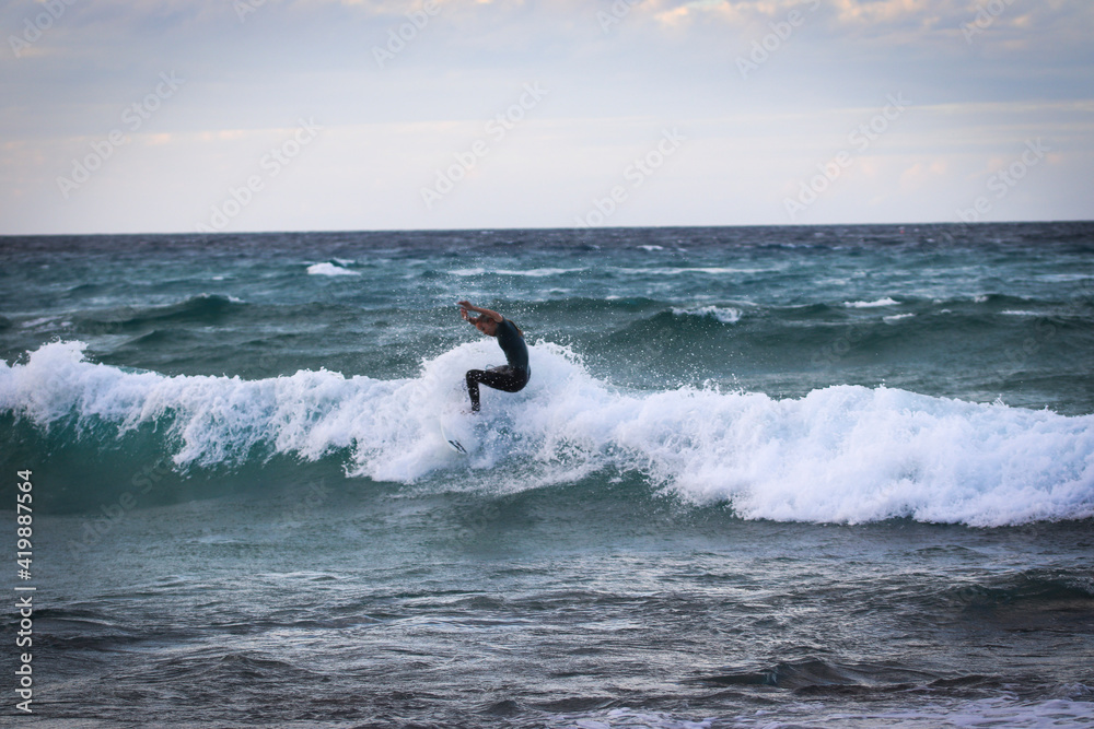 surfing the wave surfing the wave