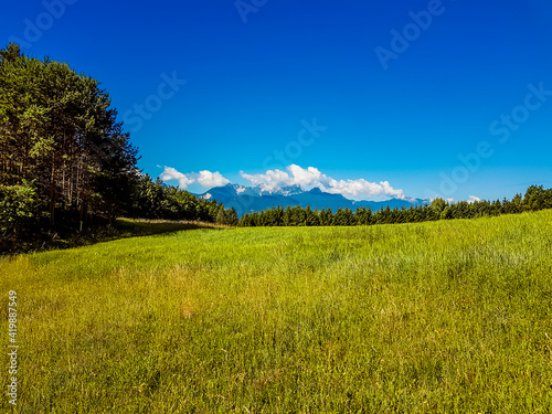 A beautiful lush green Alpine meadow  surrounded by high Alps in Kathreinkogel  Schiefling am See. Thick forest to the left and in the back. Fresh grass in the center. Blue sky with clouds in the back