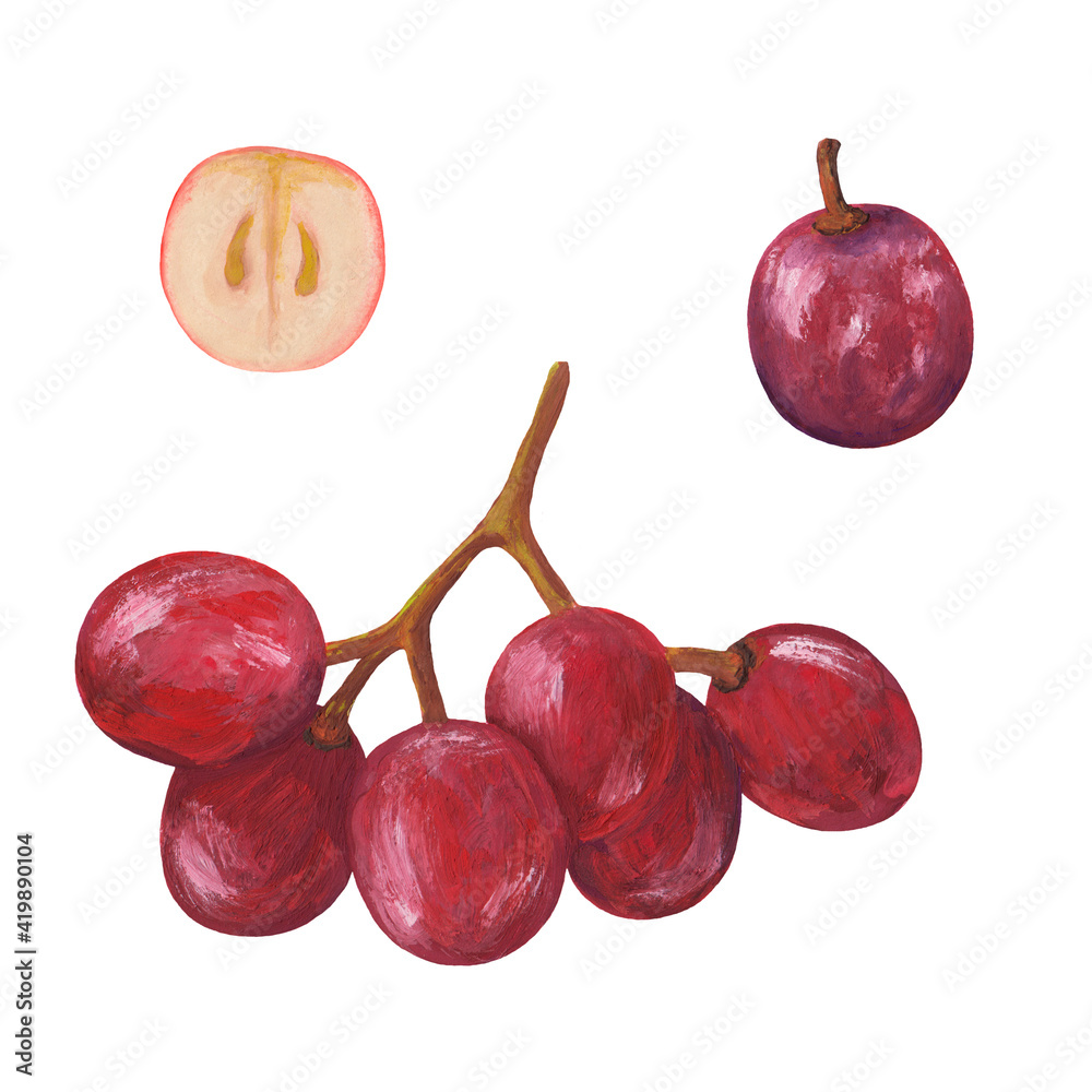bunch of red grapes, one grape and half a grape in a longitudinal