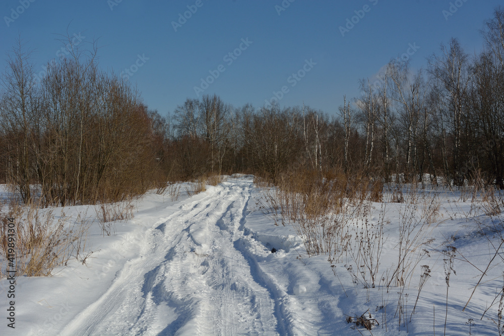 Spring walk in the floodplain of the Desna River Spring walk in the floodplain of the Desna River