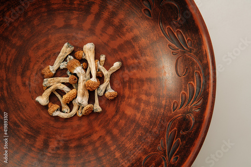 Psilocybin mushrooms in ceramic dish, brown background. Psychedelic magic Golden Teacher mushrooms. Medical usage. Microdosing concept.
