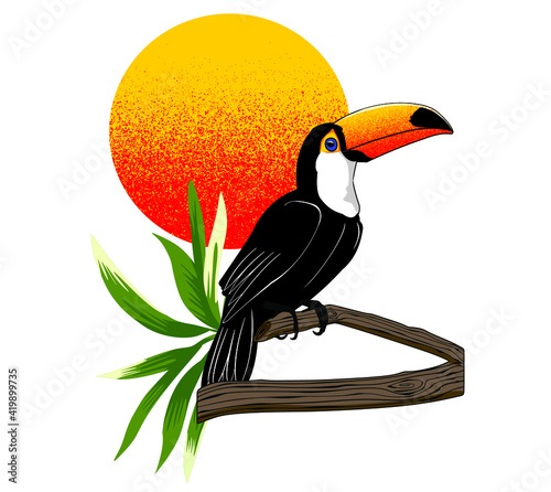Toucan paradise
