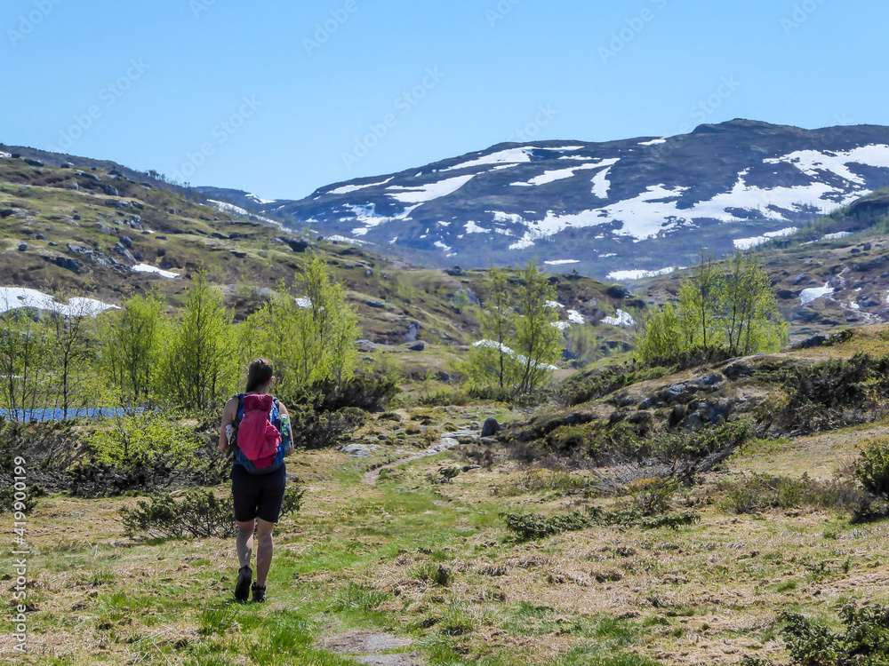 A girl with a big backpack hikes through the highlands of Norway. The trail is barely marked. Fresh green grass. Taller mountains in the back covered partially with snow. Wilderness and freedom