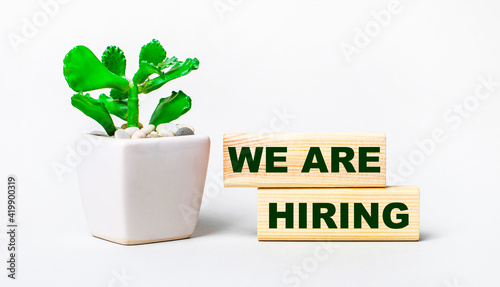 On a light background, a plant in a pot and two wooden blocks with the text WE ARE HIRING