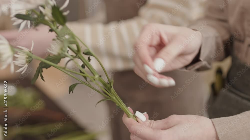 Hands of cropped unrecognizable person holding brunch with flowers, tearing leaves off of it Hands of cropped unrecognizable person holding brunch with flowers, tearing leaves off of it