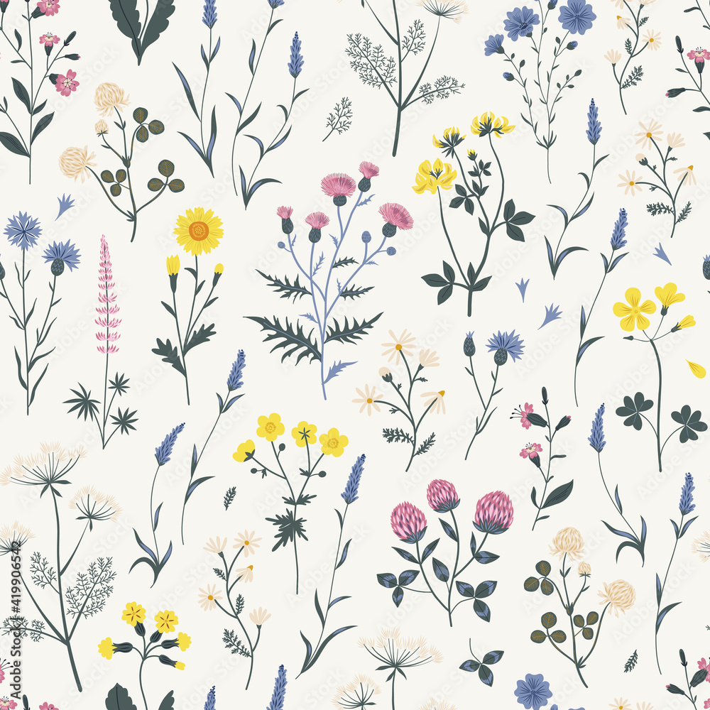 Meadow wildflower seamless vector pattern. Boho botanical floral background. Delicate field flower and herb illustration.