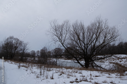 Wallpaper Mural winter landscape with trees Torontodigital.ca