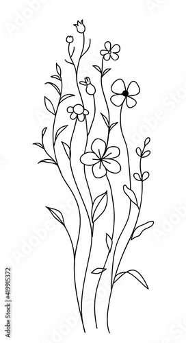 Decorative ornament with wild flowers. Hand drawn floral design isolated on white. Vector illustration.	