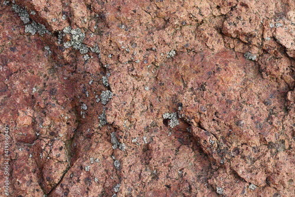 close-up stone texture for design close-up stone texture for design