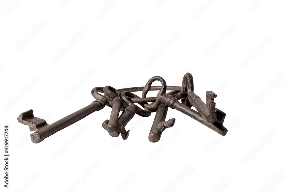 Key Ring Key Ring