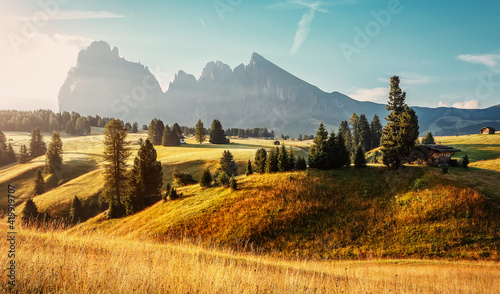 Scenic image of Alpe di Siusi or Seiser Alm. Mountains valley with fresh grass and trees during sunrise, Dolomites Alps Sassolungo and Sassopiatto mountains, Trentino Alto Adige, Tyrol, Italy, Europe.