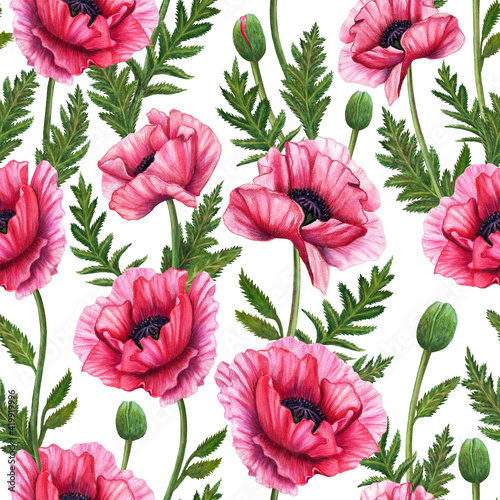 seamless pattern with flowers and poppy leaves. Pink flowers on a white background. © Klever_ok