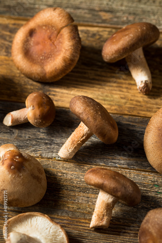 Raw Organic Shiitake Mushrooms